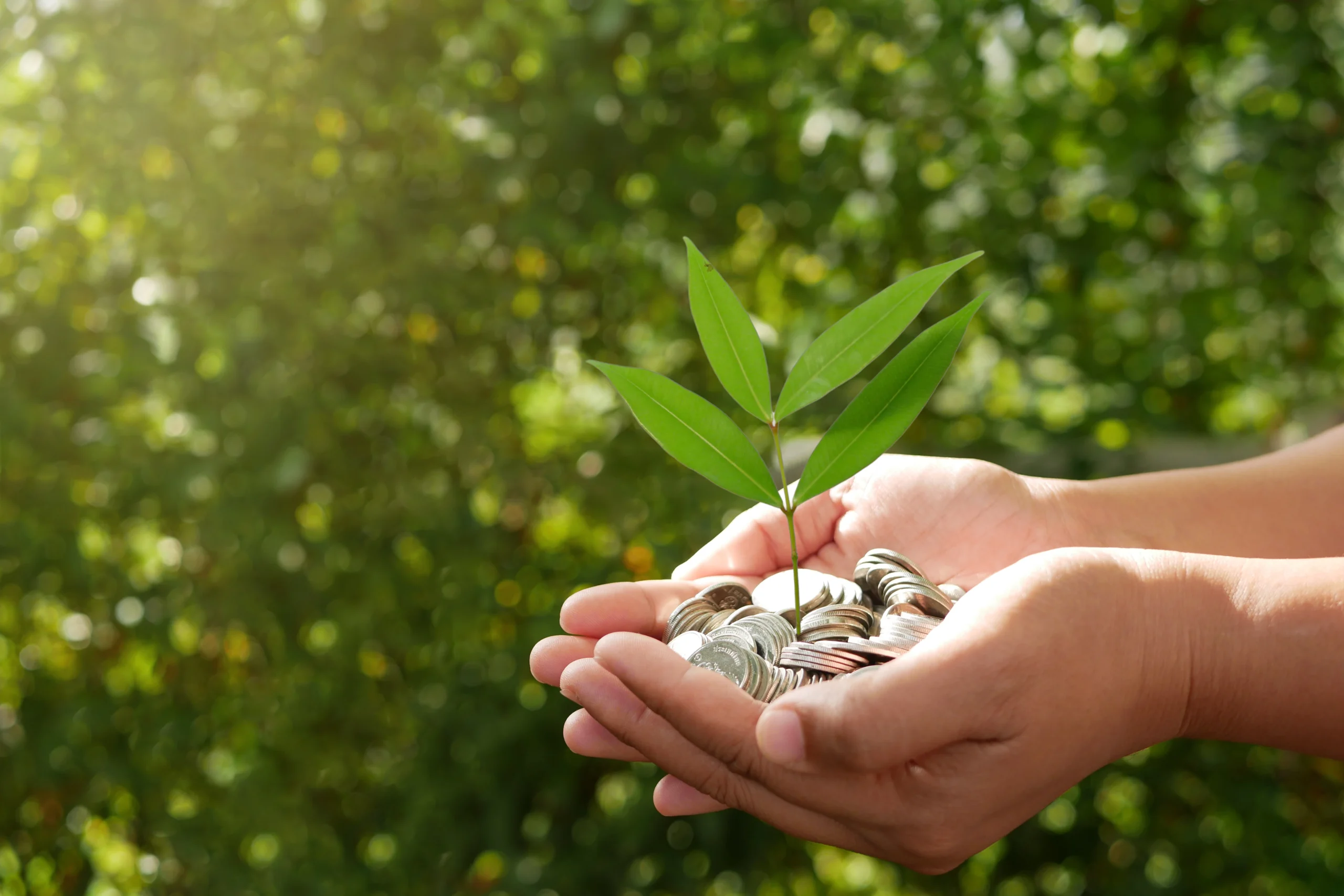 ECO4 Funding - Eco Geeks